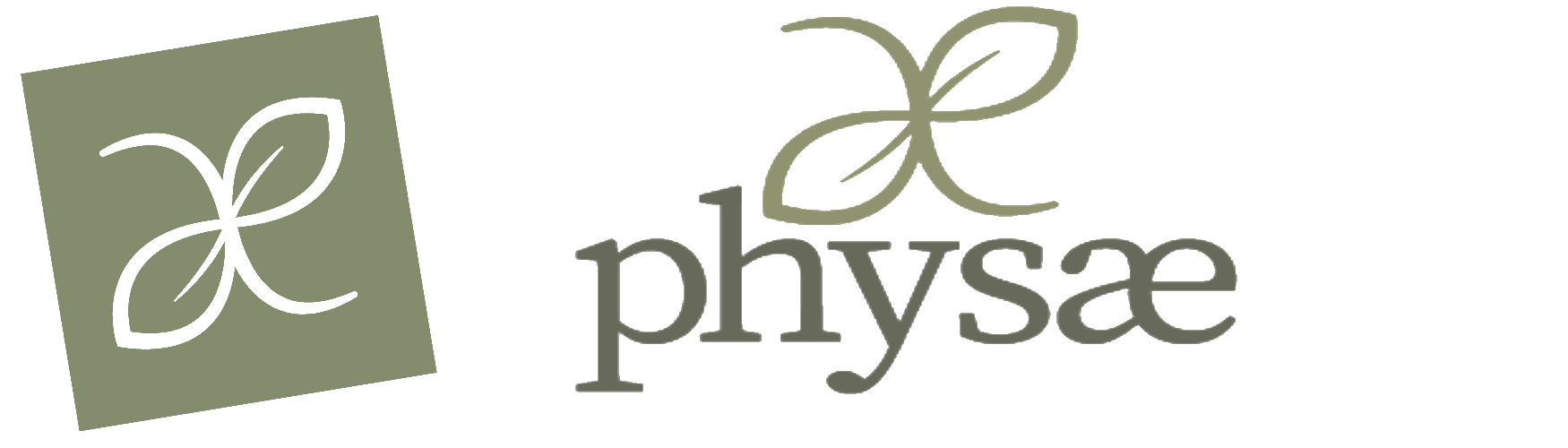 Logo Physae